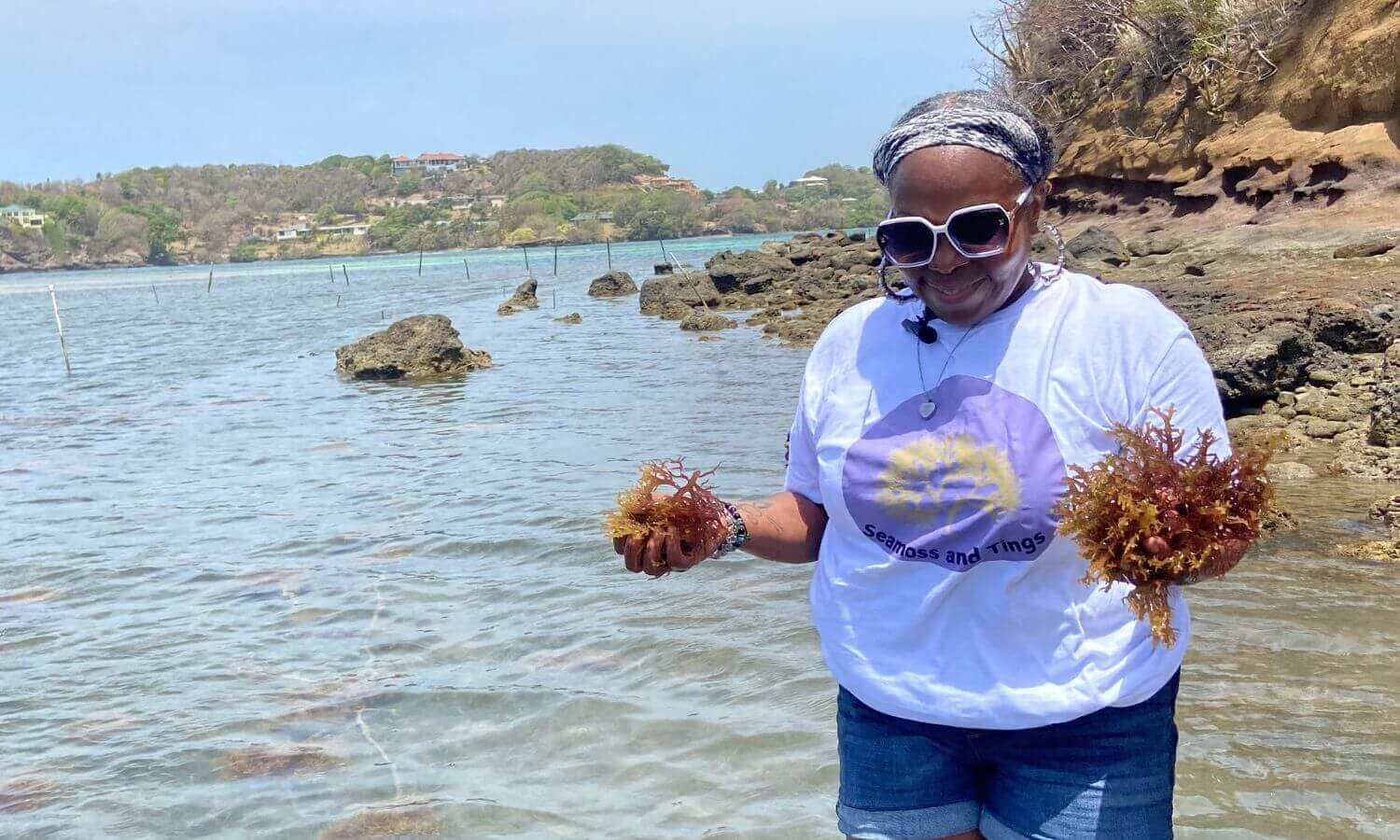 Tanya holding fresh sea moss on the Grenada shore