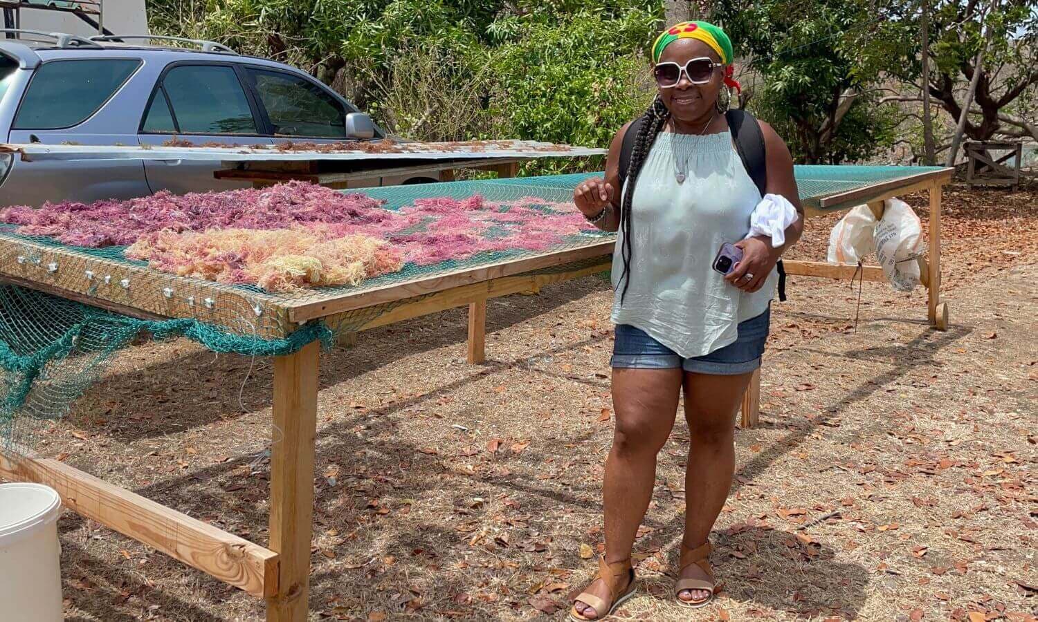 Tanya at the sea moss drying racks in Grenada